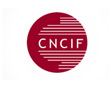 Chambre Nationale des Conseillers en Investissements Financiers (CNCIF)